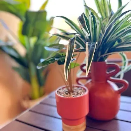 Cap Esterel Vue 5 Pers Premium Place Saint-Raphaël