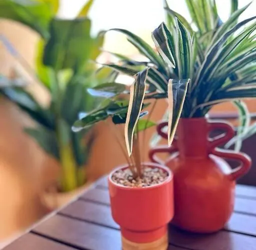 Cap Esterél Vue 5 Pers Premium Place Saint-Raphaël