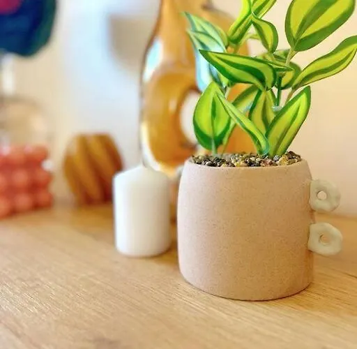 Apartamento Cap Esterél Vue 5 Pers Premium Place *